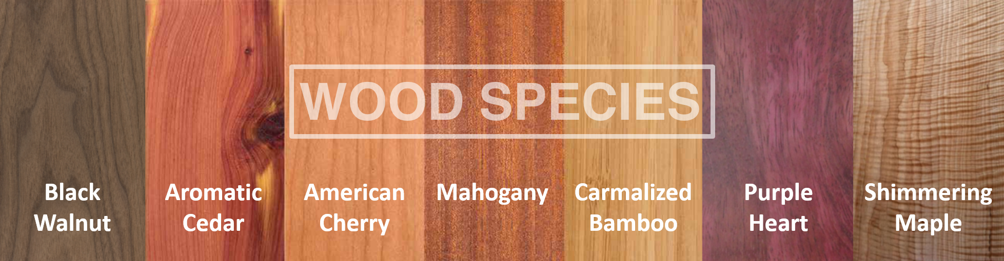 7 Beautiful Wood Species